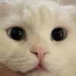 suweet.co.kr 프로필 사진