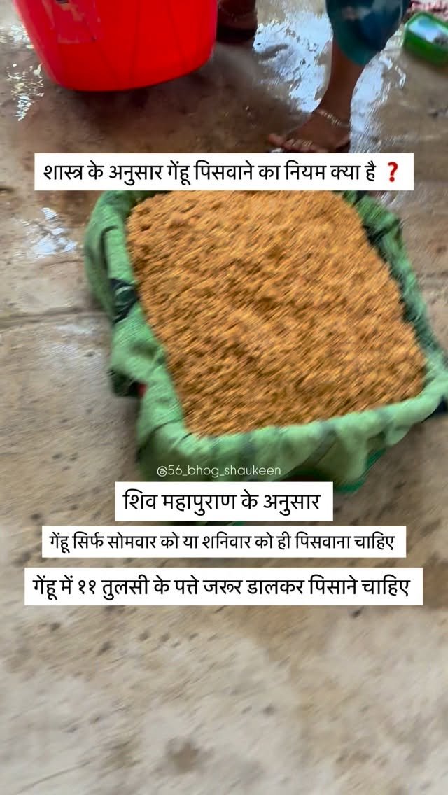56_bhog_shaukeen 게시물 이미지: गेंहू पिसवाने का नियम क्या है...