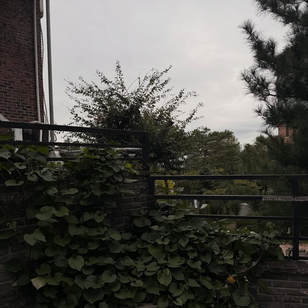 ahn__jiho 게시물 이미지: 