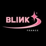blinkfrance_officiel 프로필 사진