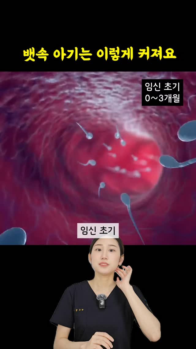 byak_yaksa 게시물 이미지: 🍀 임신 초기 (0~3개월)

수정된 난자는
여러 개의 세포로 분열하며

나팔관을...