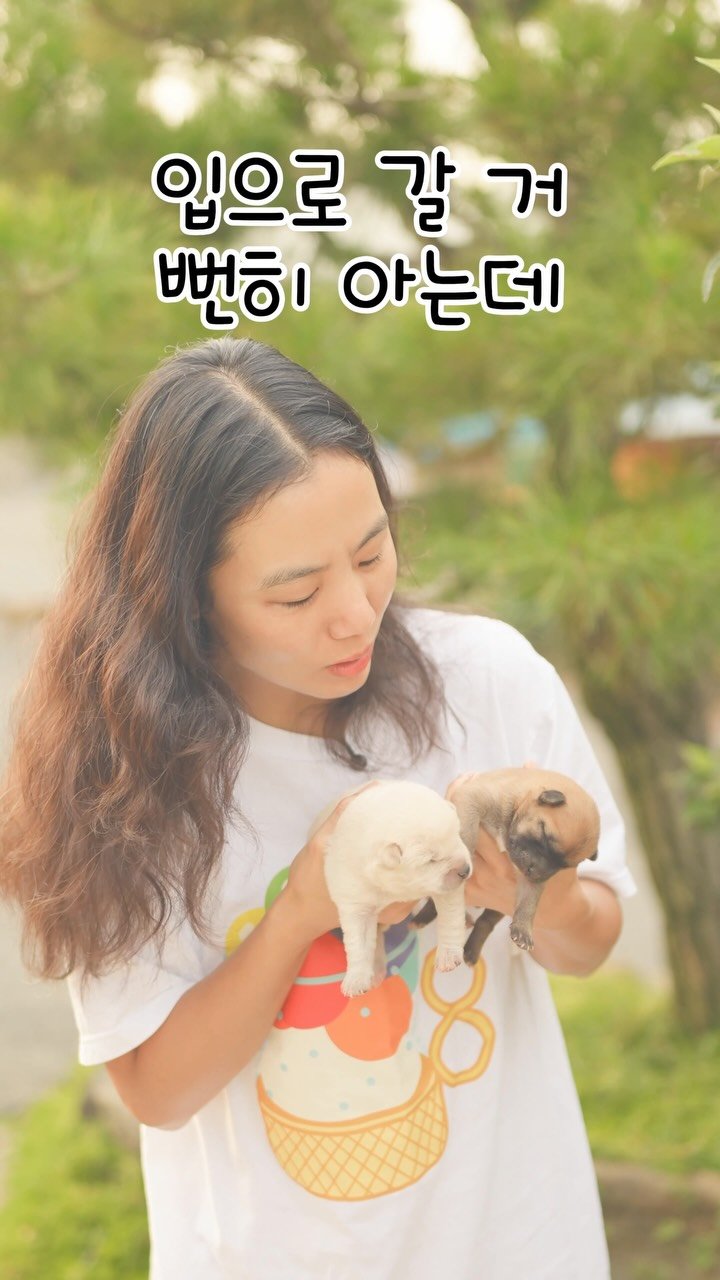 cafe_cheesetabby 게시물 이미지: 며칠 집을 비운사이!! 맙소사!
.
.
아빠 병원 입원으로 며칠 집을 비웠는데
집을...
