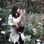 cottage_the_vert_gardengirl 프로필 사진