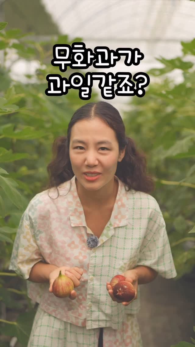 cafe_cheesetabby 게시물 이미지: 무화과 맛이 야해!!
.
.
* [무화과는 매우 예민한 배송 난이도 끝판왕 과일...