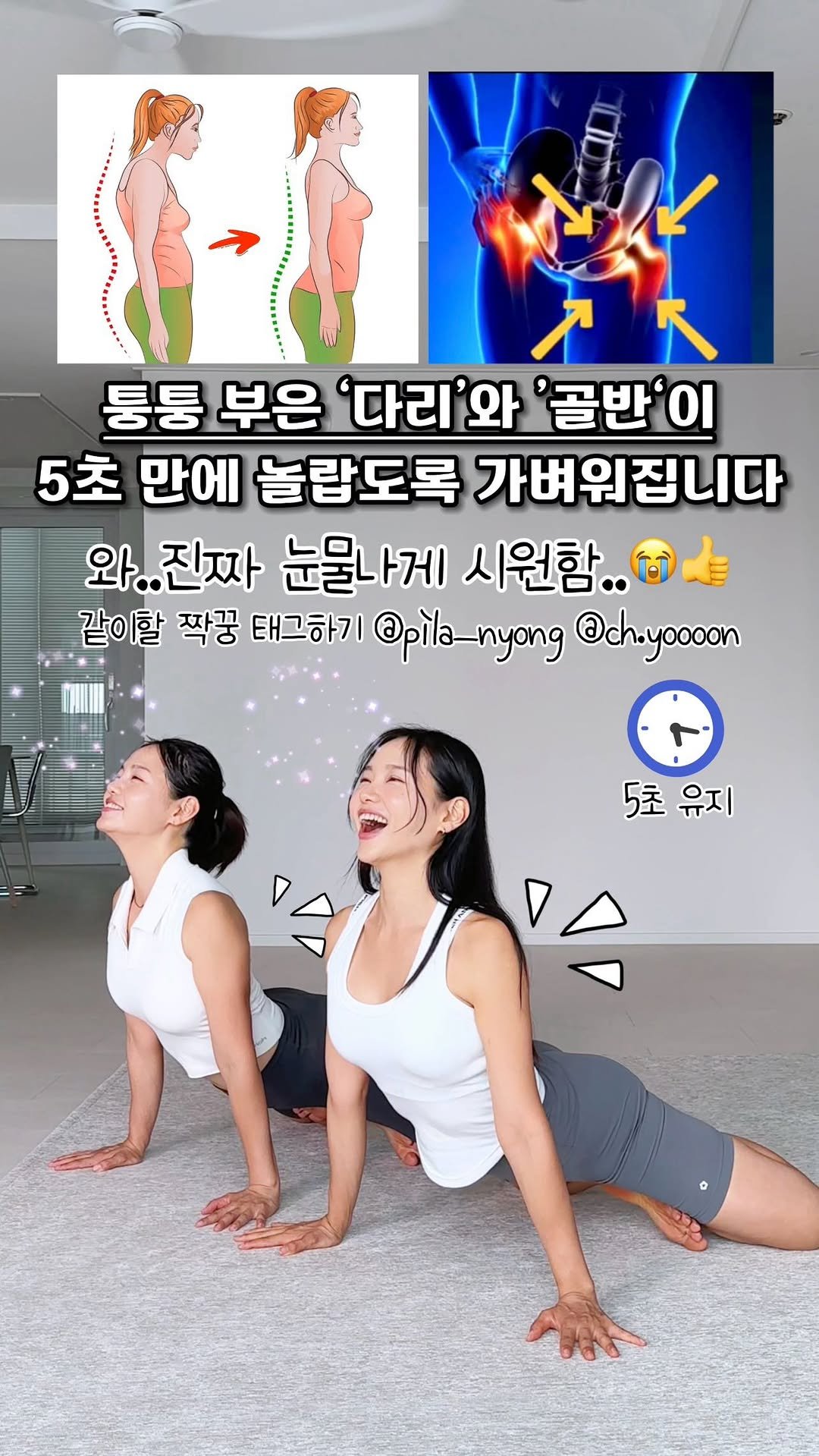 ch.yoooon 게시물 이미지: 🔻5초만에 골반,허리가 눈물나게 시원해짐 #극락스트레칭
이지금 앉아계신다면,다리가...