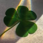 _0hoony 프로필 사진