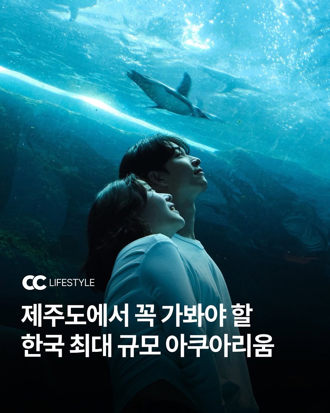 Photo shared by 큐레이션 클럽 | 패션 • 문화 • 영감 on June 27, 2025 tagging @aquaplanet_in_jeju, and @aquaplanet_official. May be an image of 1 person, poster and text that says 'LIFESTYLE 제주도에서 꼭 가봐야 할 한국 최대 규모 아쿠아리움'.