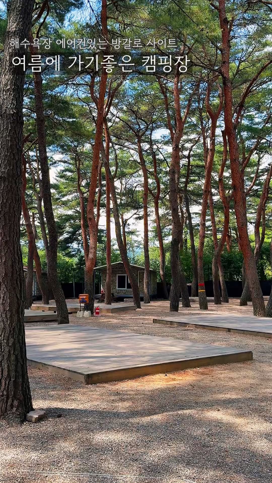 endor._.camping 게시물 이미지: 에어컨 있는 방갈로 사이트가 6만원!?
한여름에도 가기좋은 🌟매너타임 없는🌟...