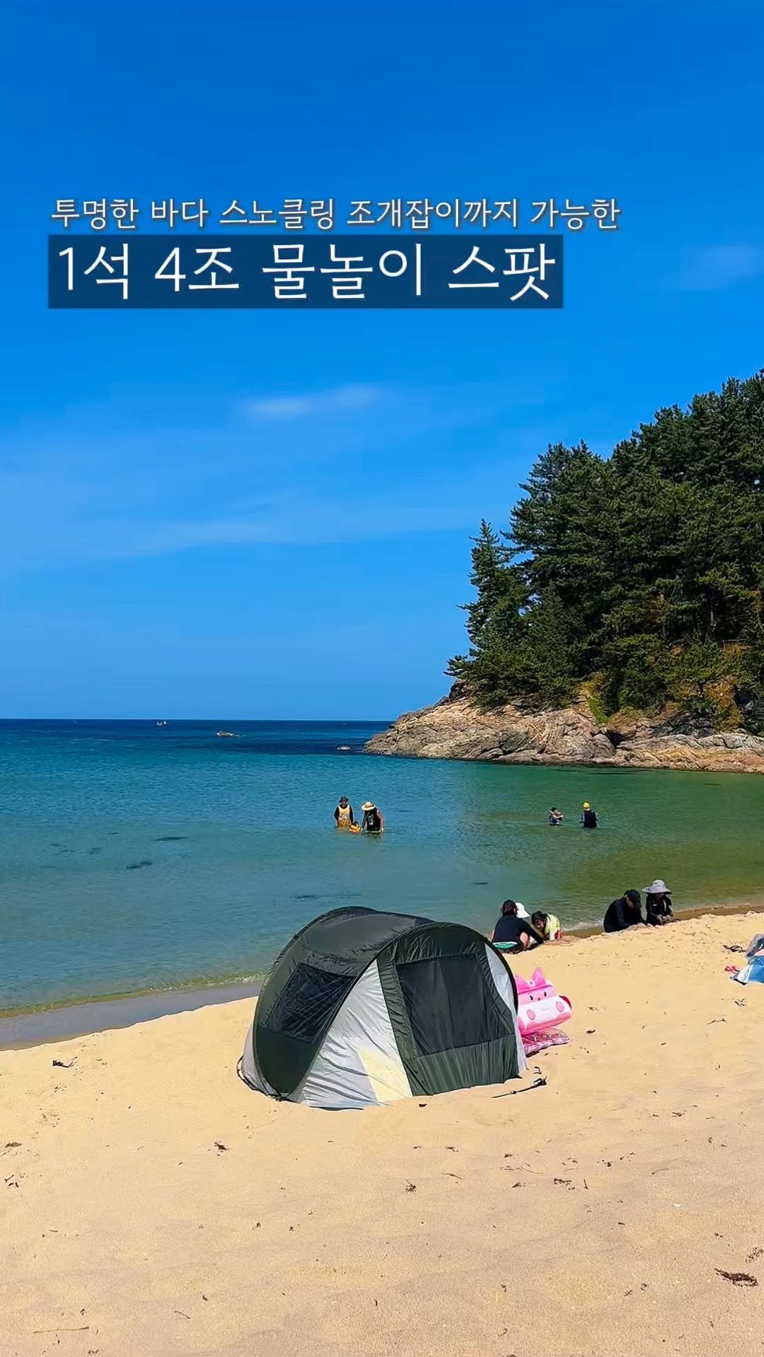 endor._.camping 게시물 이미지: 역대급으로 맑고 투명한 바닷물.
물놀이는 물론 스노클링까지 가능한데,
조개까지...
