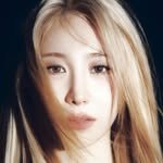 chaestival_ 프로필 사진