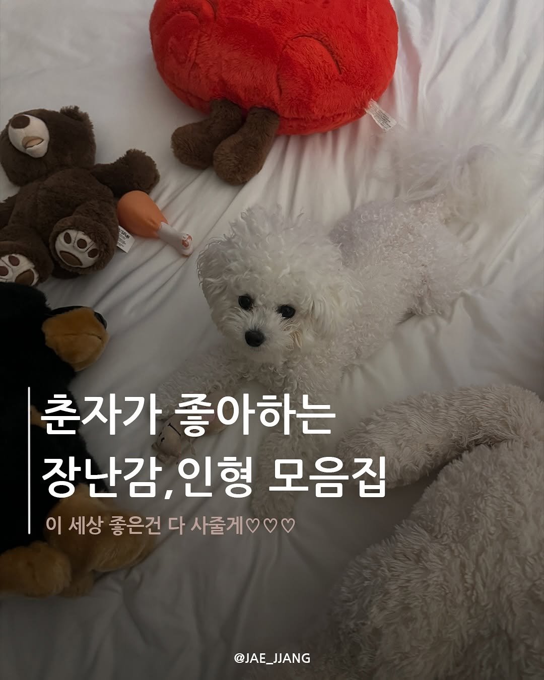 Photo by 재짱 on August 12, 2025. May be an image of Bedlington terrier, pie and text that says 'ពីពីសរ 춘자가 좋아하는 장난감, 인형 모음집 이 세상 좋은건 다 사줄게 @JAE_JJANG @JAE_ JANG'.