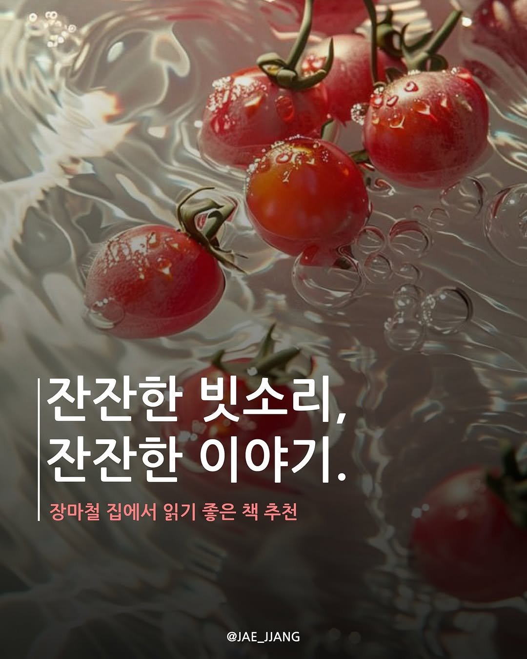 Photo by 재짱 on June 26, 2025. May be an image of tomato and text that says '잔잔한 빗소리, 잔잔한 이야기. 장마철 집에서 읽기 좋은 책 추천 @JAE_ @JAE_JJANG'.