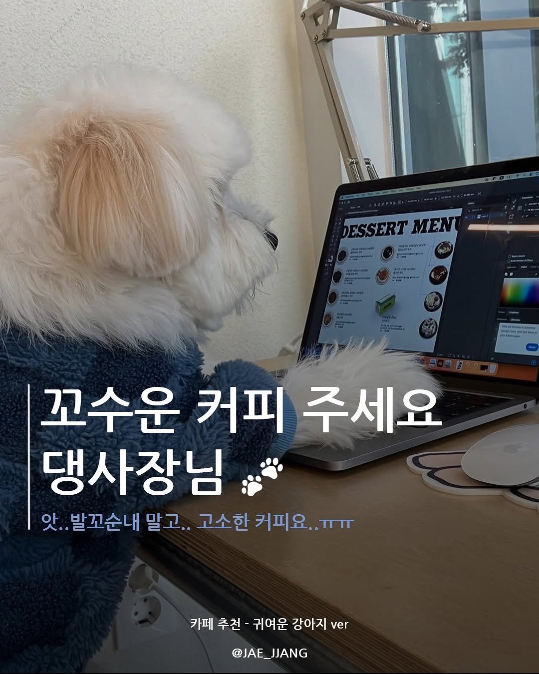 Photo by 재짱 on June 25, 2025. May be an image of Pekinese and text that says 'DESSERT bESSERTMEN ΜΕΝΙ PC 꼬수운 커피 주세요 댕사장님 앗.. 앗..발꼬순내 말고.. 고소한 커피요..ㅠㅠ ..TTIT 커피요 카페 추천 귀여운 강아지 ver @JAE_JJANG'.