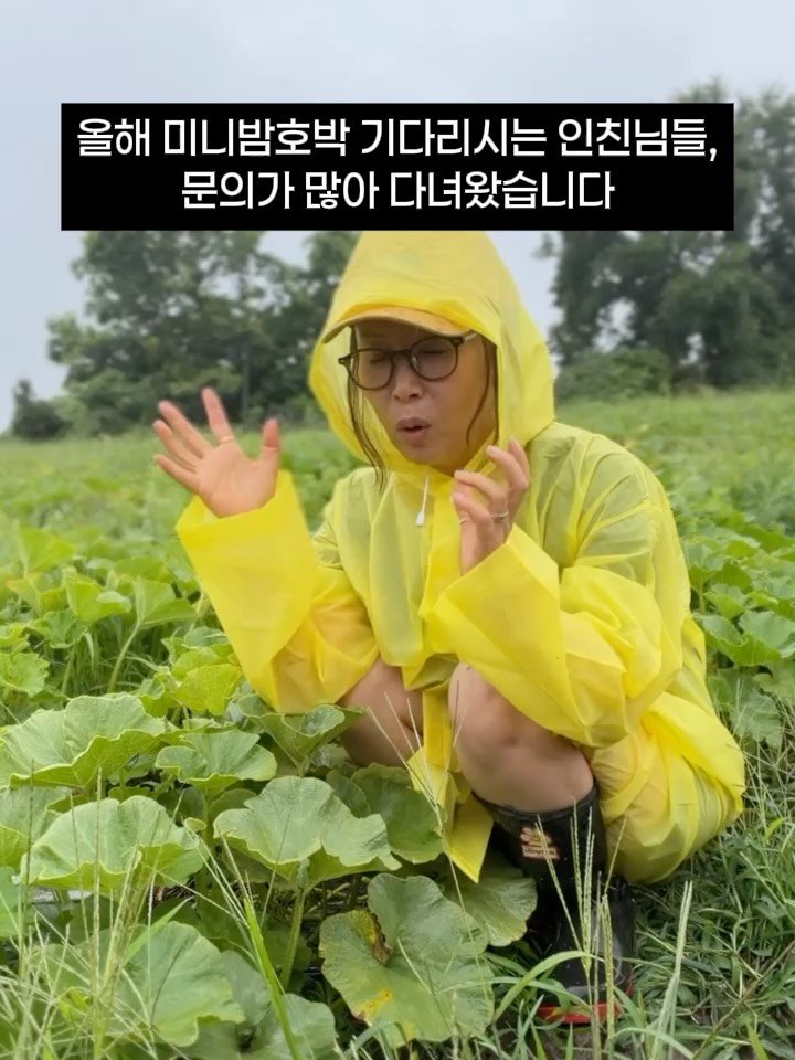 jeju_momsfarm 게시물 이미지: 오늘 제주엔 종일 비가 내리네요.💦

며칠을 내달린 탓인지,
몸도 마음도...