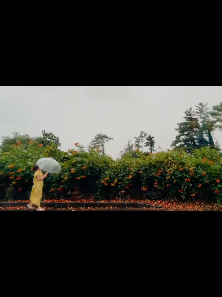 jeju_momsfarm 게시물 이미지: 제주는 종일 비가 내린다.

길가 능소화가 빗줄기를 고스란히 뒤집어쓰고 있었다....