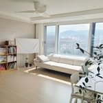 lumi_haru 프로필 사진