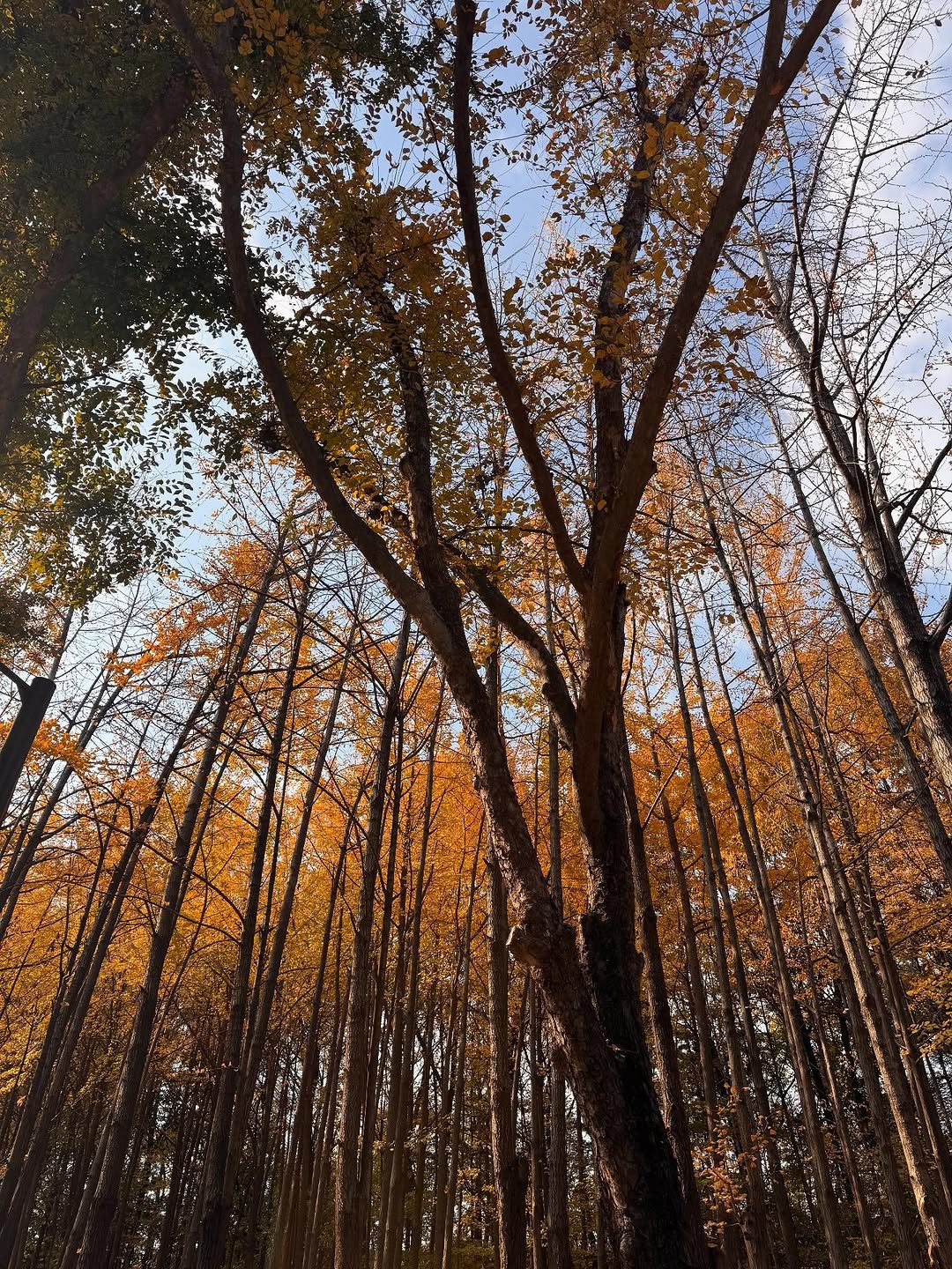 Photo by 김태리 on November 21, 2025.