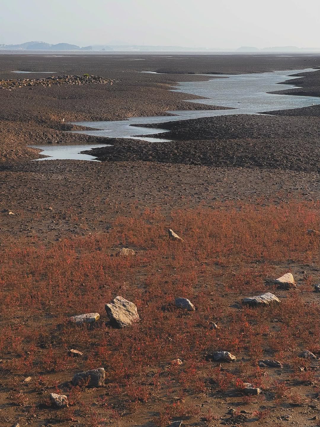 Photo by 김태리 on July 28, 2025.