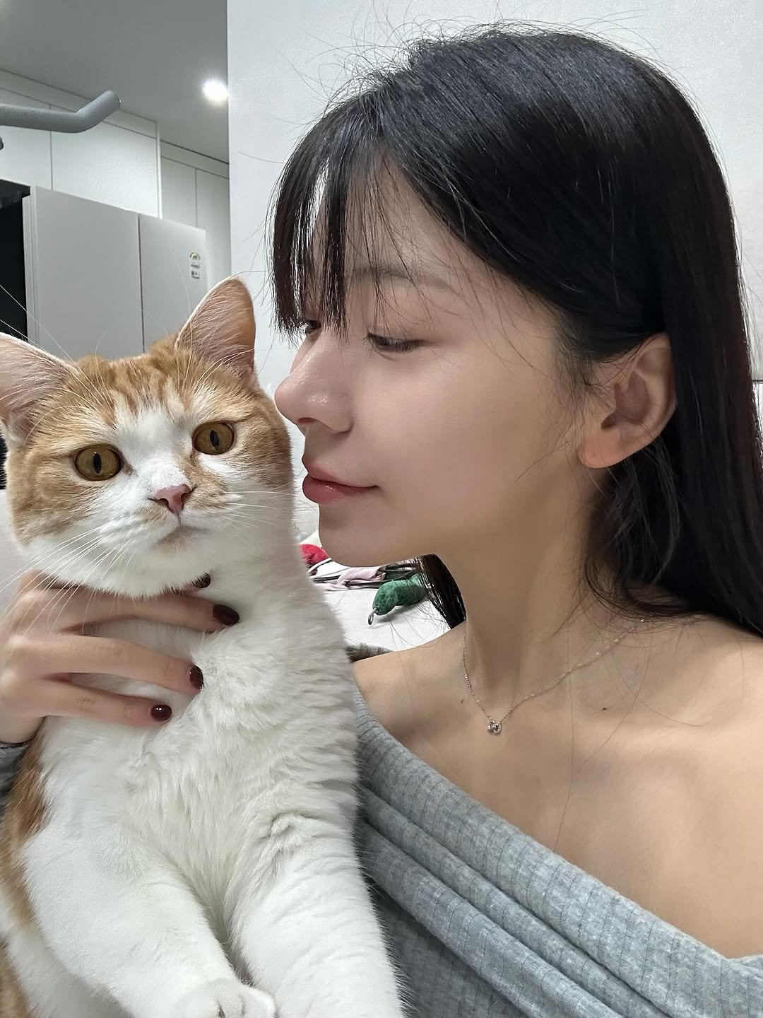 Photo by 쏘블리ღ🪽🤍 on November 17, 2025. May be an image of tortoiseshell cat, kitten, Abyssinian cat and text.