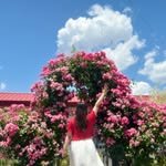 behappyheyins 프로필 사진
