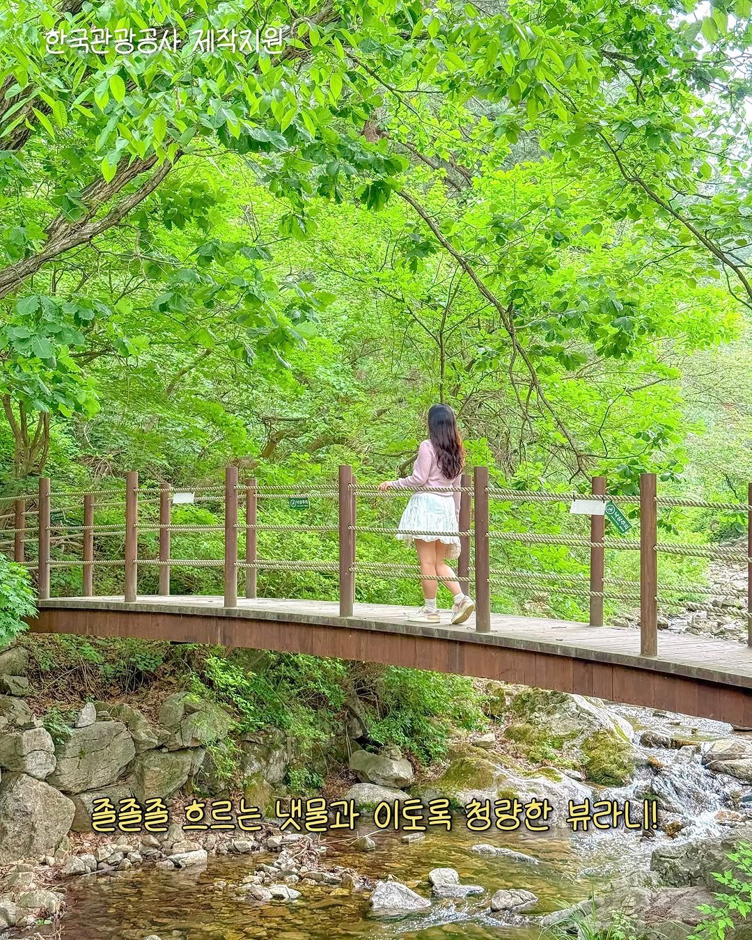 Photo shared by 제이나 | 여행 크리에이터 on May 25, 2025 tagging @visitkorea100. May be an image of 1 person, suspension bridge, park and text that says '한국관광공사 국관광공사제작지원 제작지원 HESI 졸졸졸 흐르는 댓물과 이토록 청량한 뷰라니!'.