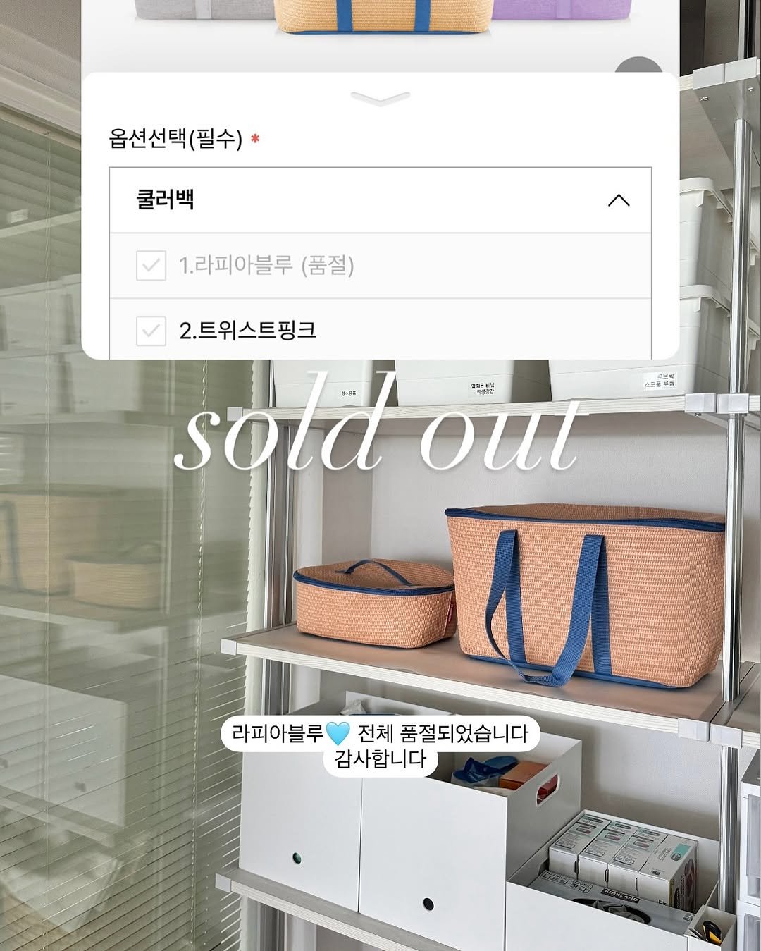 Photo by 망구미 on June 16, 2025. May be an image of rack, basket, hamper and text that says '옵션선택(필수) 쿨러백 1.라피아블루 (품절) 2.트위스트핑크 sold soldour 加量 실프로산분 out -M M 라피아블루 아블루.전체품절되었습니다 전체 라피아블루잔체품절되었습니다 품절되 품절되었습니다 감사합니다'.