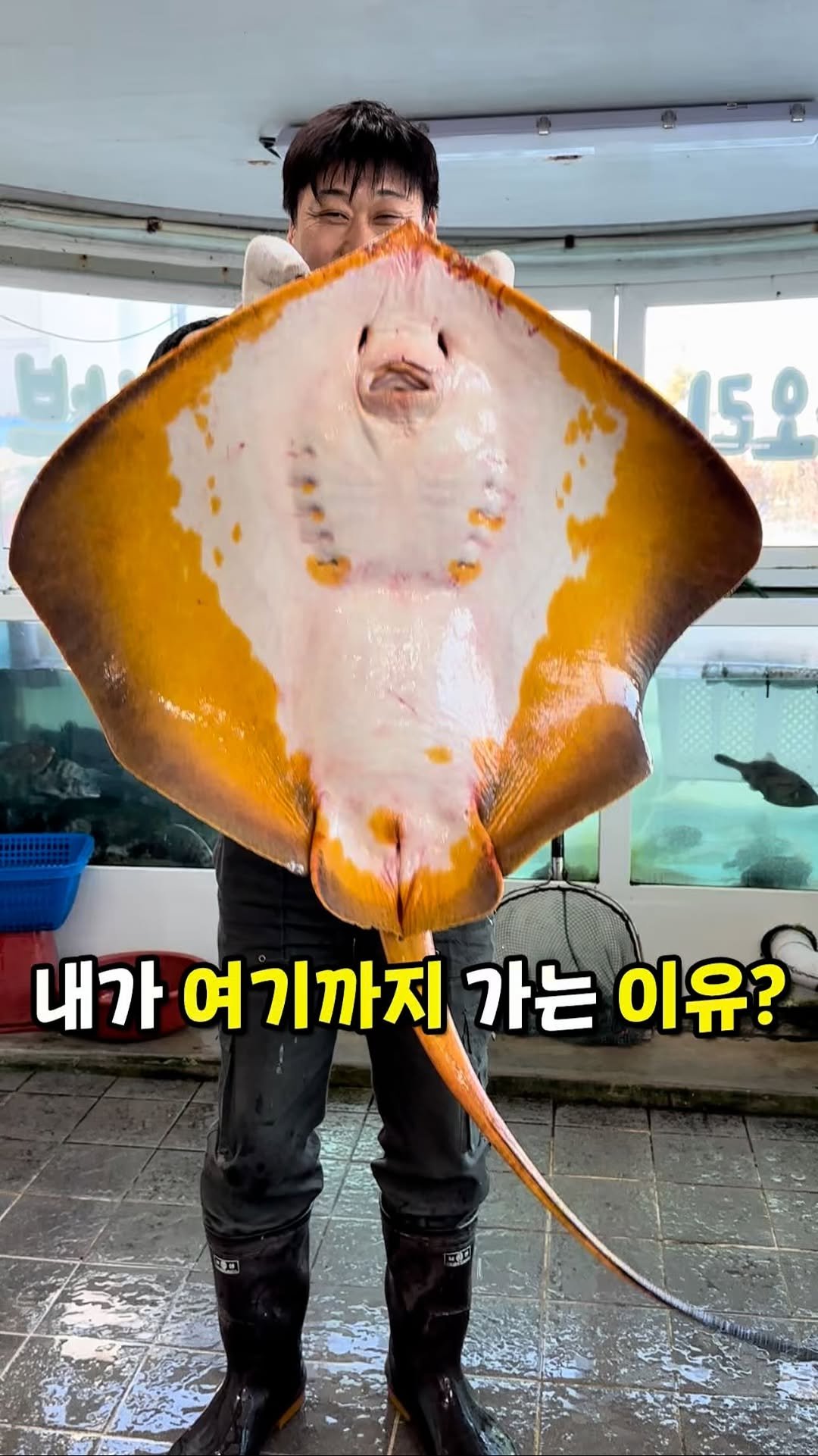 muk_jeong 게시물 이미지: 여러분 !! 부산 현지인들도 의외로 모르는
40년전통 인생 횟집 소개할게요 !...