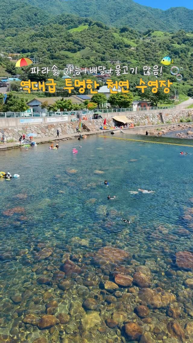 na.y.o.o.n 게시물 이미지: 생수..? 물고기 역대급 많은 천연수영장 공유🫧🐠(주소 아래에)
와.. 여기 진짜...