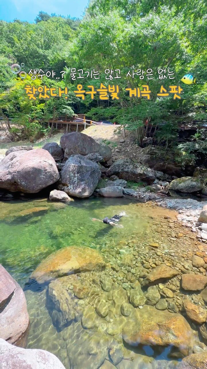 na.y.o.o.n 게시물 이미지: 찾았다! 휴가철에도 사람 없는 옥구슬빛 계곡 스팟🐠🫧(주소 아래에)

몇일 전,...