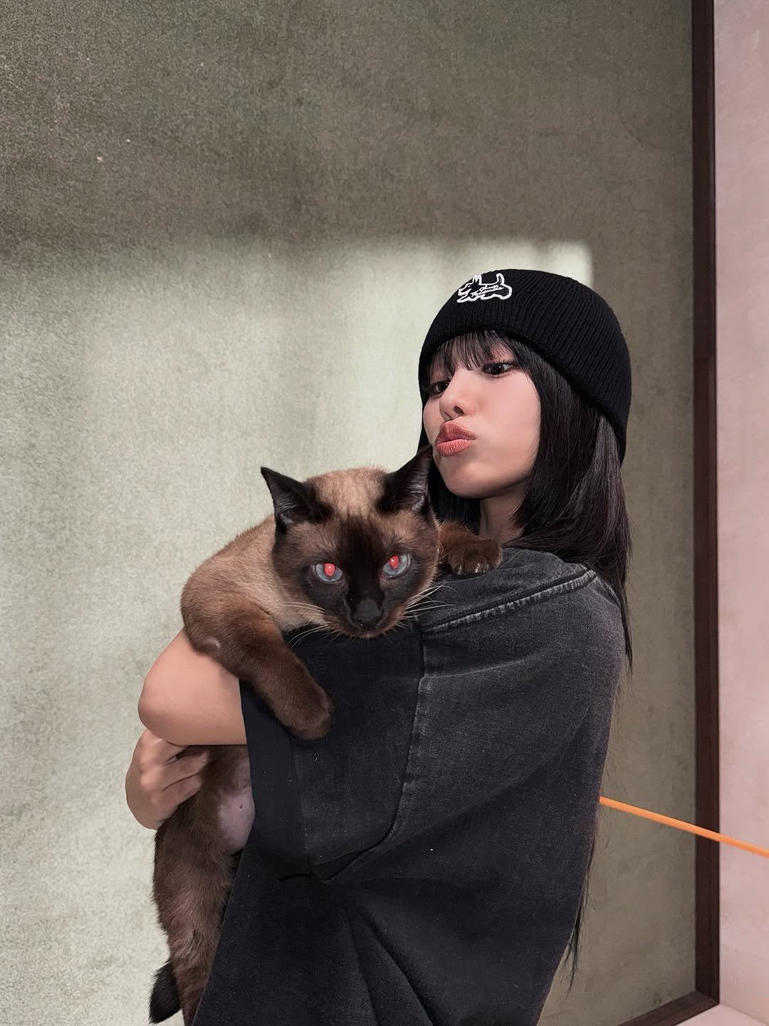 Photo shared by NATTY (( 나띠 )) on November 12, 2025 tagging @classyclub.official, and @classyclub.kr. May be an image of ragdoll cat, kitten, beret and text.