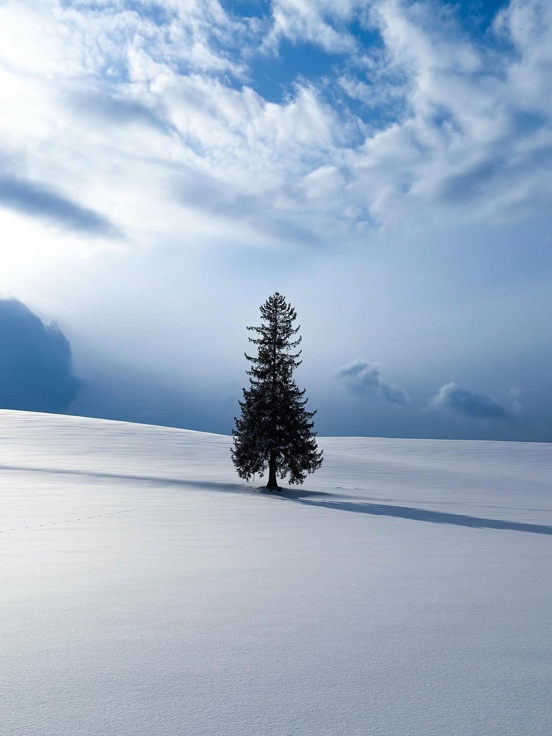 Photo by 황민현 on January 10, 2026. May be an image of nature, ski slope, tree, arctic, snow and text.