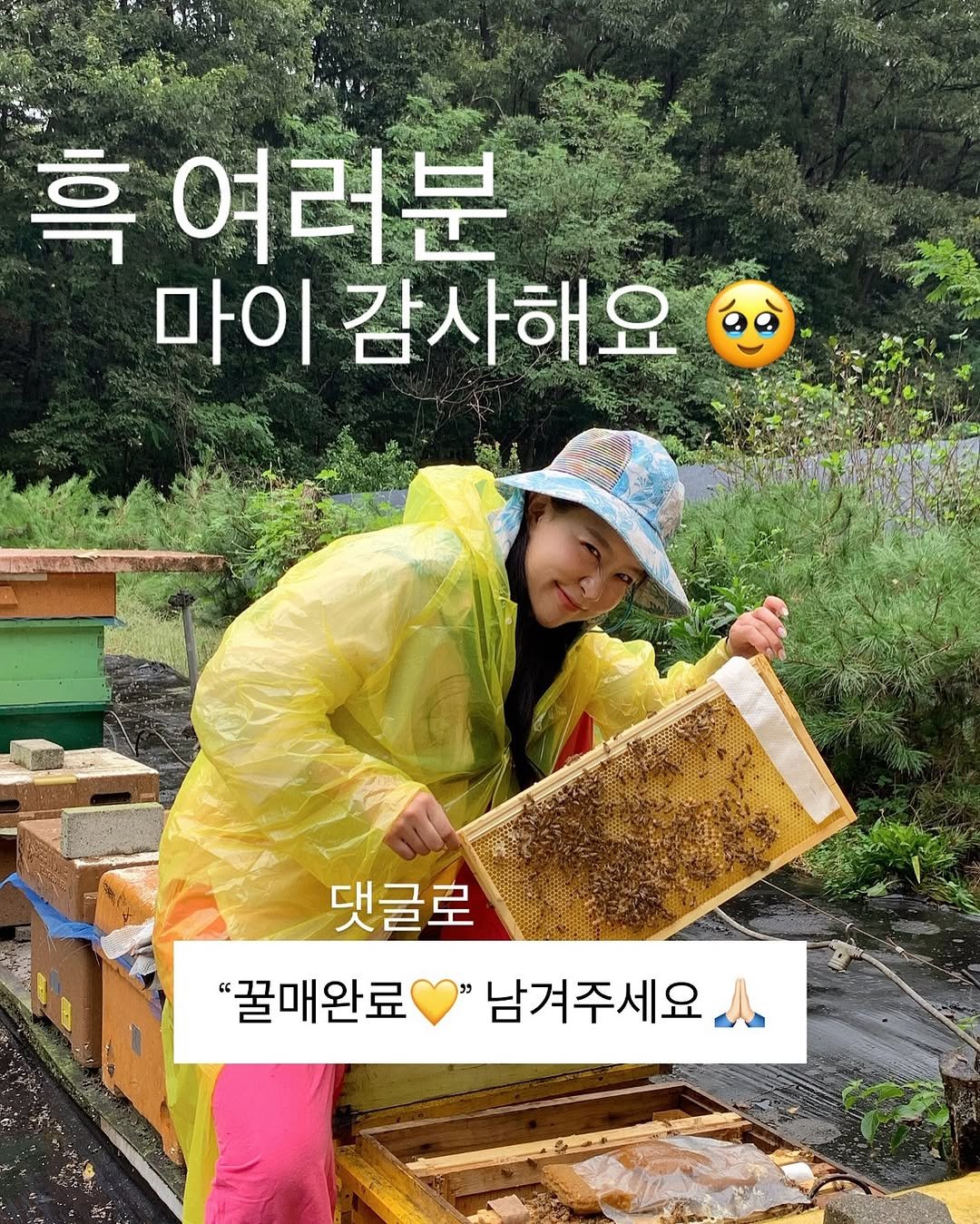 Photo by 윤진쌤 | 박윤진 진정한 나 자신을 아낄 수 있도록 🩵 on June 12, 2025. May be an image of 1 person, bee and text that says '흑 여러분 마이감사해요( 마이 감사해요 댓글로 "꿀매완료 남겨주세요'.