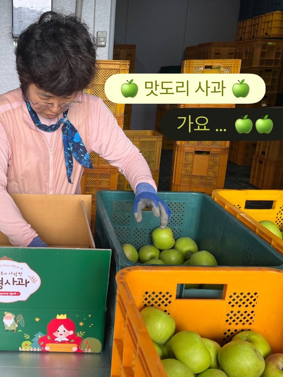 Photo by 윤진쌤 | 박윤진 진정한 나 자신을 아낄 수 있도록 🩵 on August 04, 2025. May be an image of ‎1 person, apple, pomelo, vegetable, pear, grapefruit and ‎text that says '‎맛도리 사과 가요... 日本.. Whe サート 사랑한 라니 사고 4 ㅅ ع خ‎'‎‎.