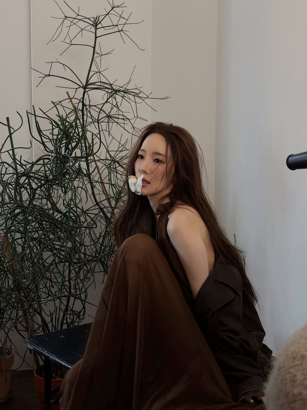rachel_mypark 게시물 이미지: Siren🧜🏻‍♀️🤍🫘