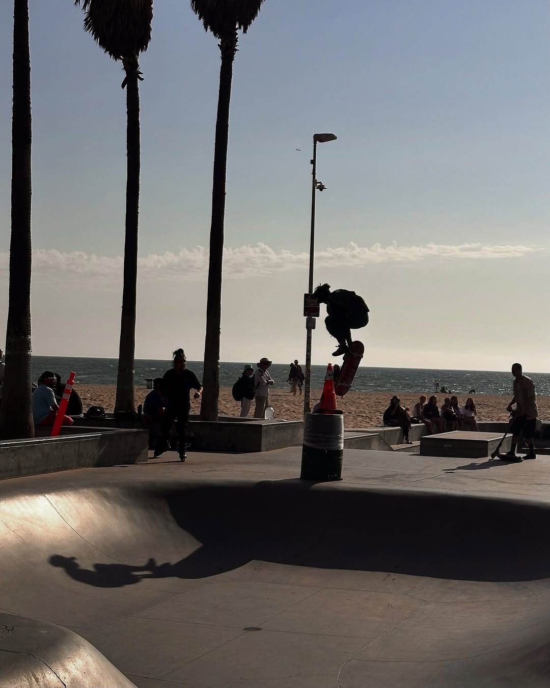 Photo by 사선웅 on August 07, 2025. May be an image of 13 people, skateboard, palm trees and text.
