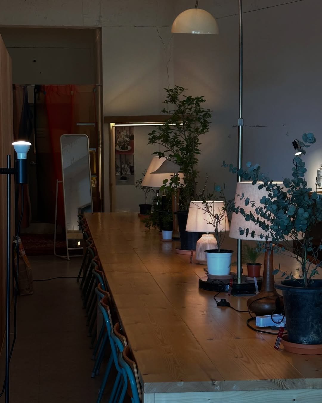 Photo by 사선웅 on May 12, 2025. May be an image of lighting, table, dining table, cornflower and text.