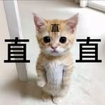 uuuuuux066 프로필 사진