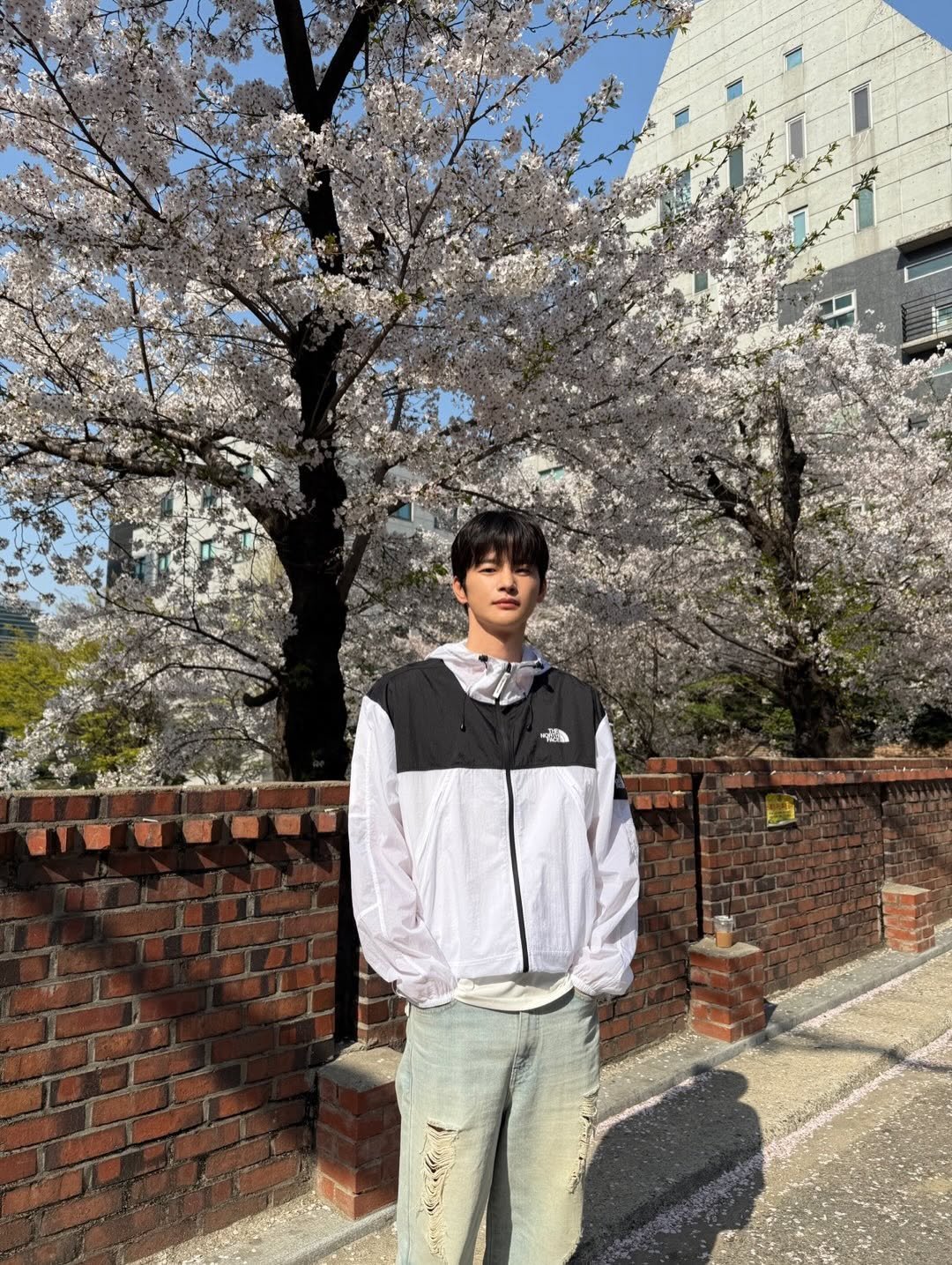 seo_cccc 게시물 이미지: (thenorthface_whitelabel)  #광고 #화이트라벨 #노스페이스