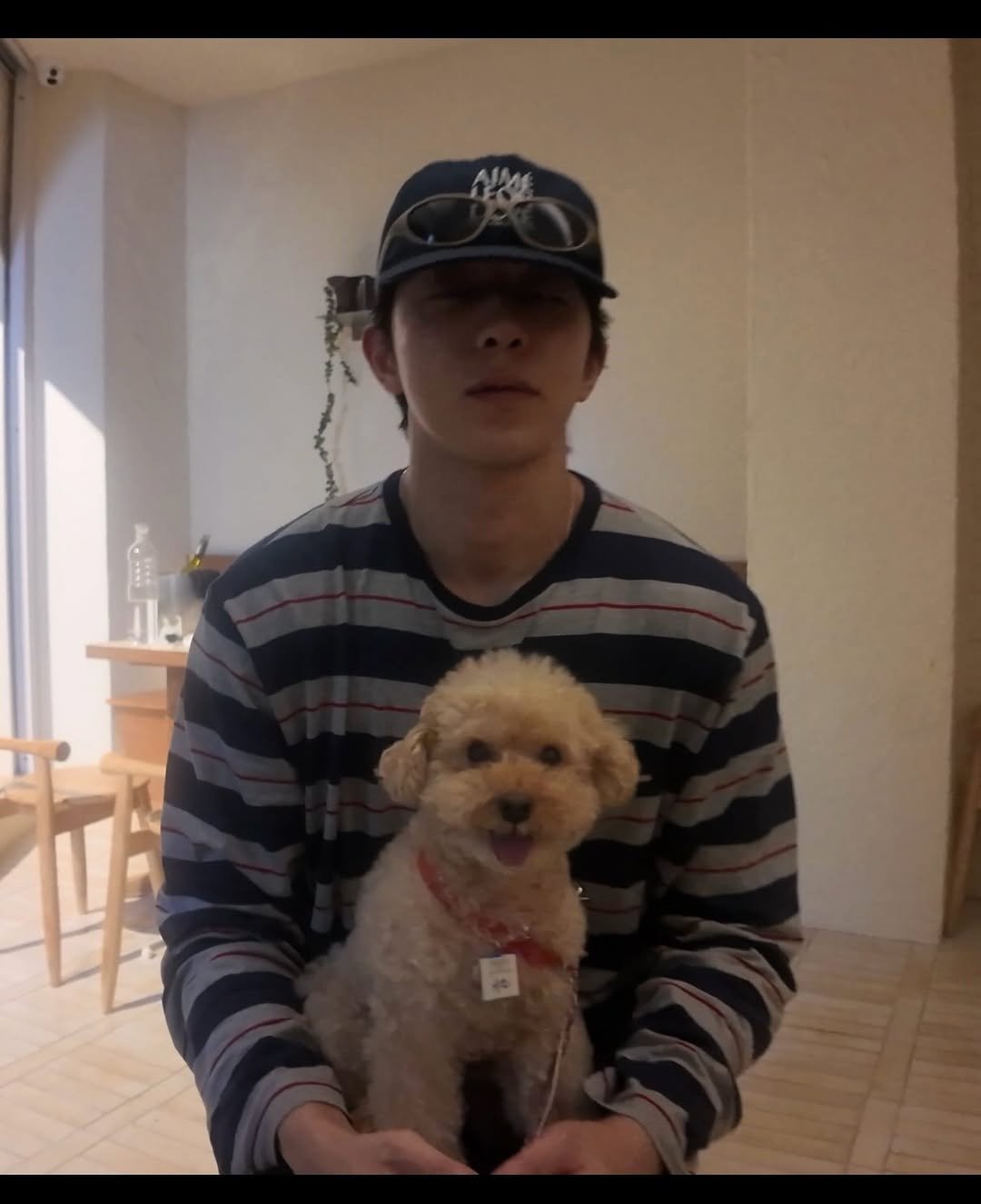 Photo by 남주혁 on January 07, 2026. May be an image of chihuahua, Maltese, hat and text.