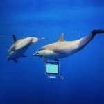 leehi_hi 프로필 사진