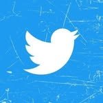 twitter 프로필 사진