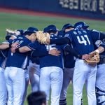 team__dinos 프로필 사진
