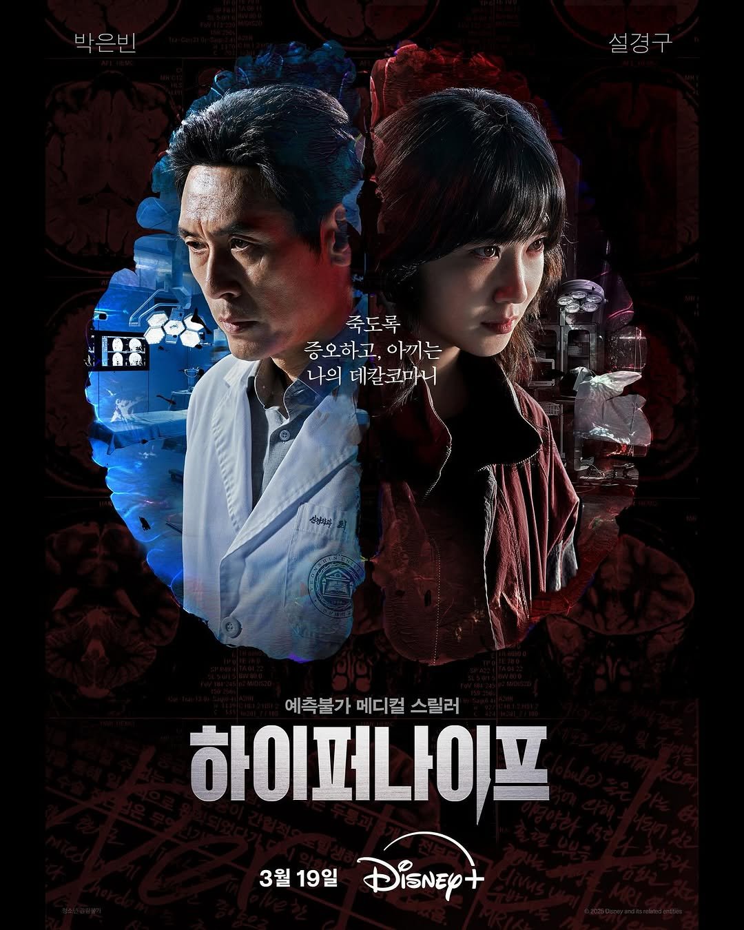 Photo by 윤찬영 Chan-young Yoon on March 05, 2025.